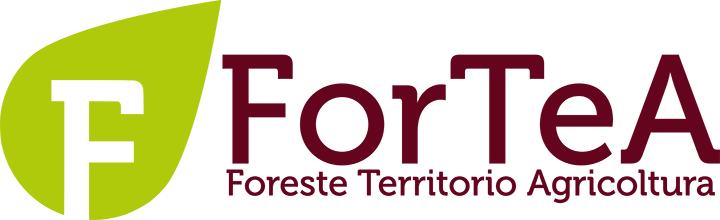 Fortea-srl-stp